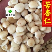 苦杏仁无硫去皮苦杏仁无硫货选货新货