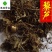 藜芦黎芦好统货供应各种中药材