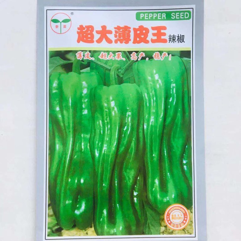 超大薄皮王辣椒种子微辣薄皮椒种子超大果耐低温弱光