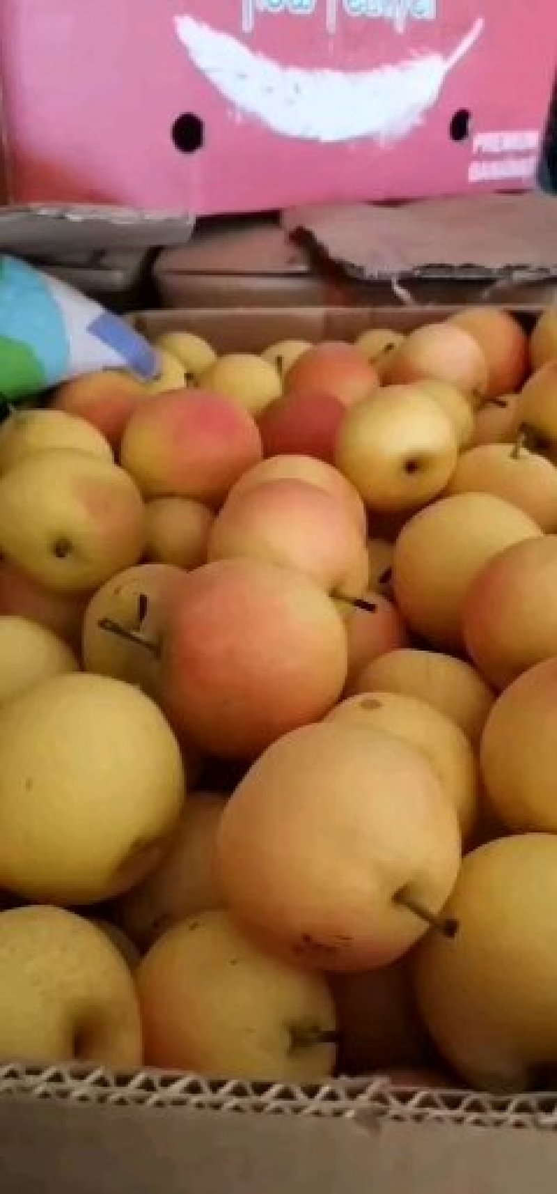 南果梨
