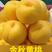黄桃树苗黄金密4号【包售后】晚熟品种新品种保证质量。
