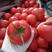 山东西红柿，硬粉西红柿，一手货源，果型好，耐运输