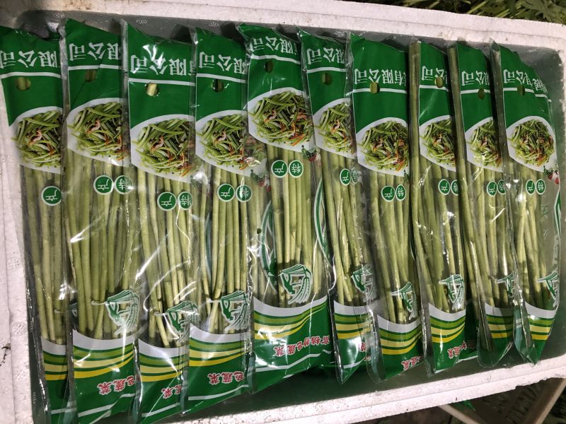 400亩云南藜蒿，现大量出货，有需要的📞