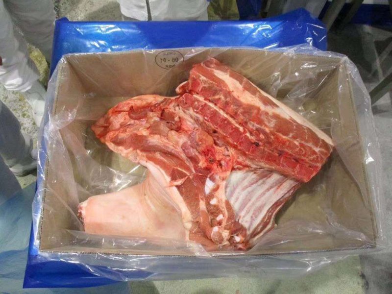 猪前腿肉，一吨起批，量大优惠，实物拍摄，保质保量