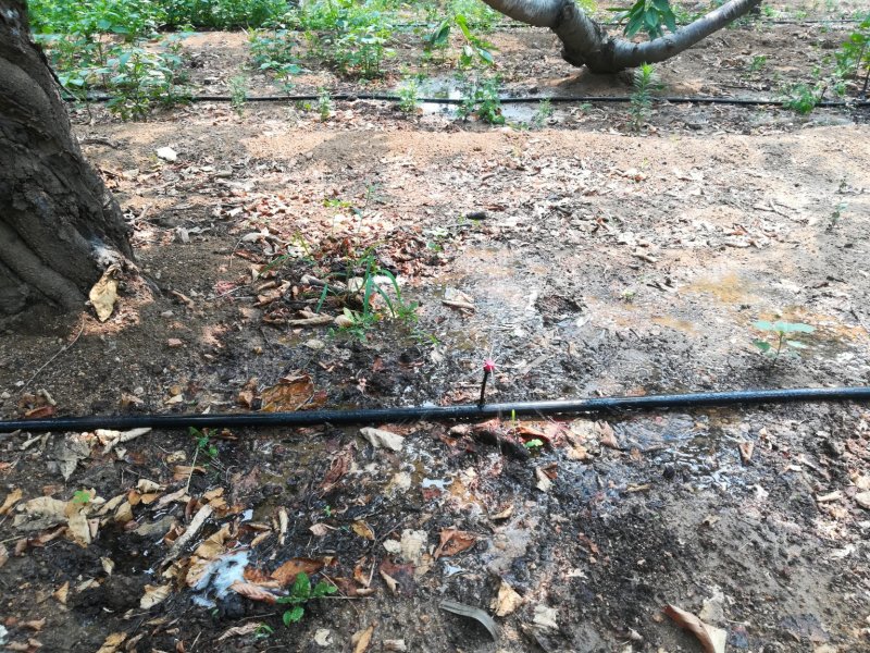果园温室大棚园林苗园茶园滴灌喷灌免费设计