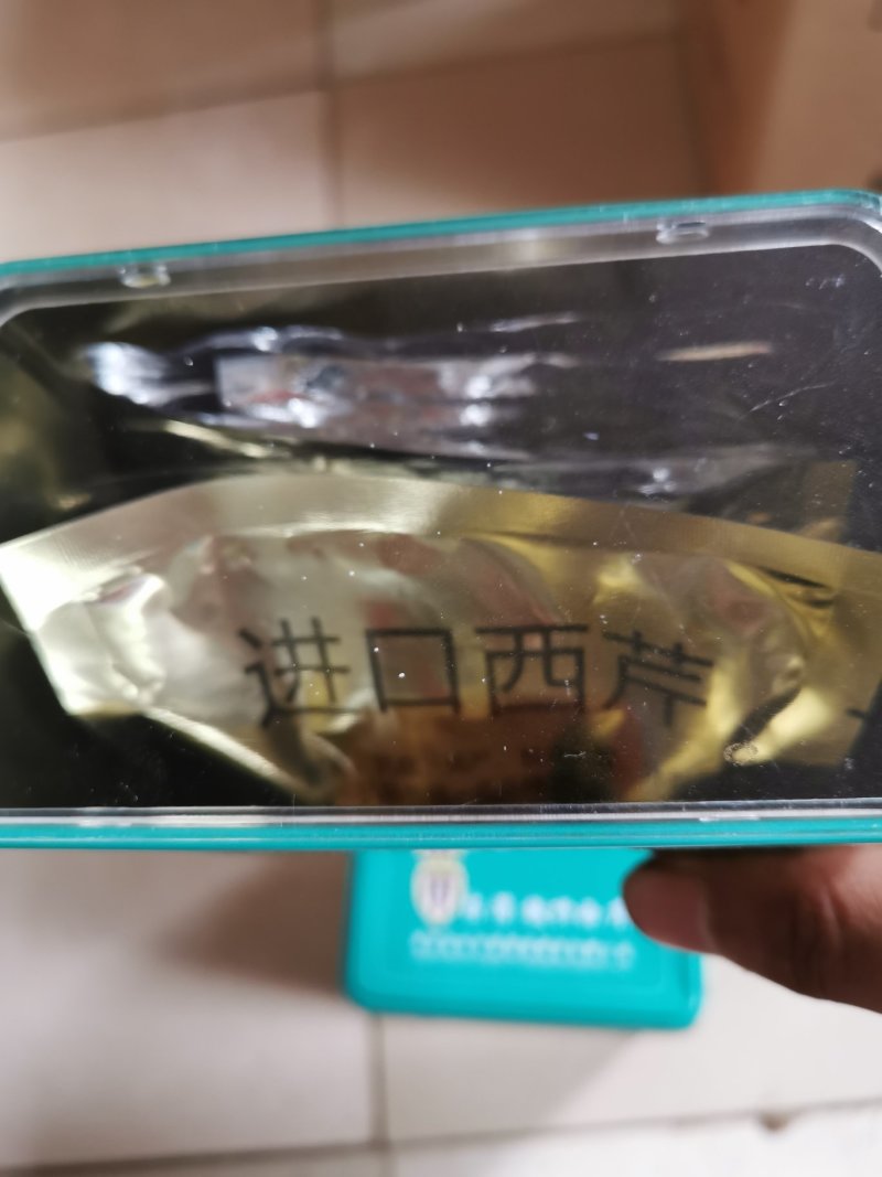进口台湾铁杆西芹种子高产抗病300克家庭菜园基地种子