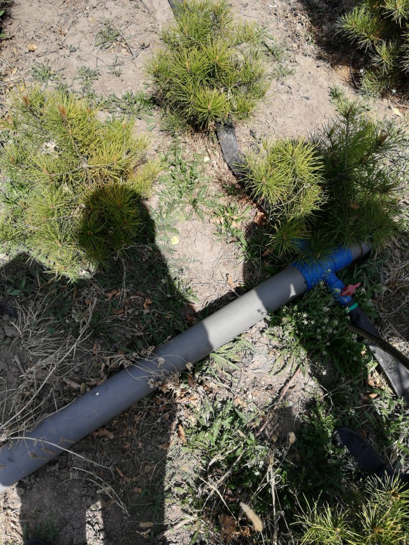 滴灌微喷带喷水带厂家直销欢迎来电量大有优惠