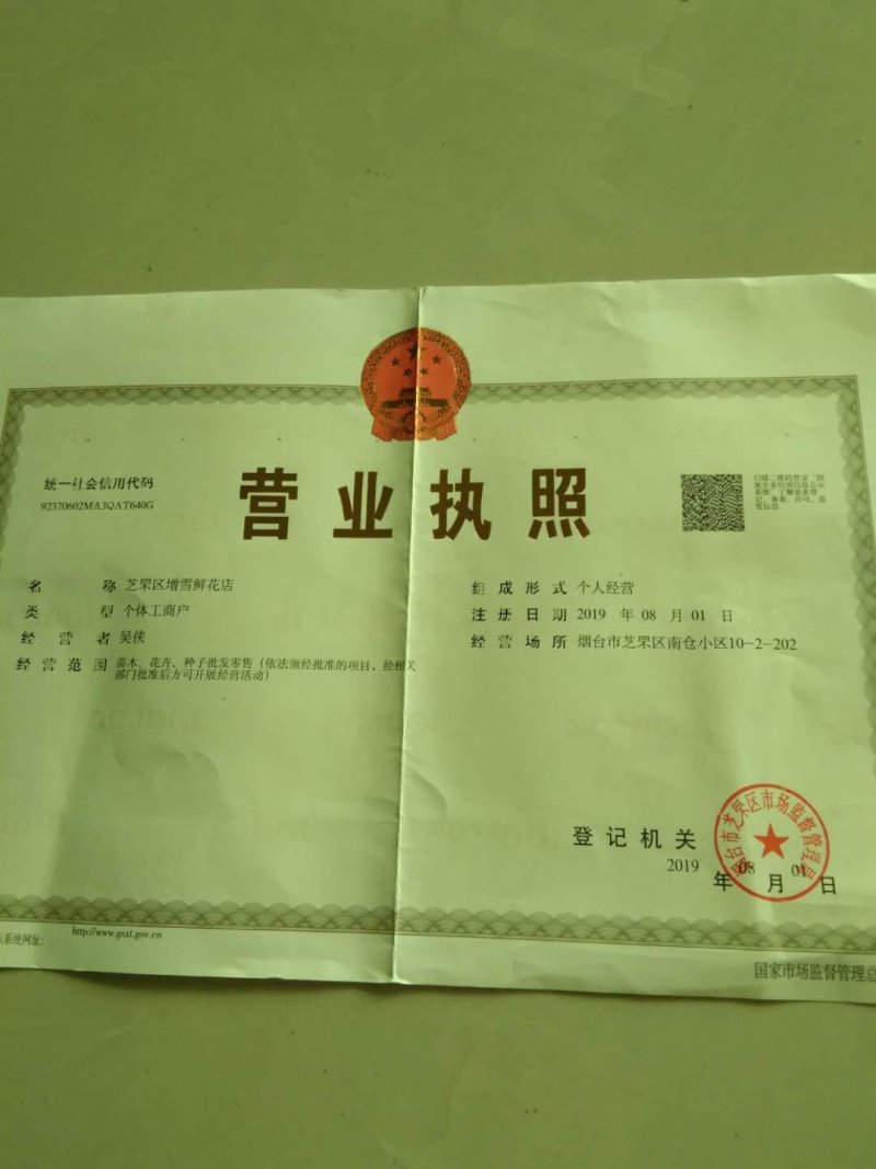 水生植物再力花种子花叶芦竹黄蒲芦苇水葱水葫芦鸢尾种子