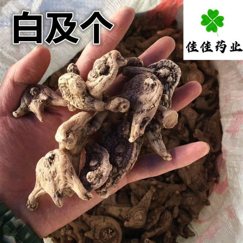 白芨白及三叉白及正品干货白及片白芨片