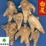 白芨白及三叉白及正品干货白及片白芨片