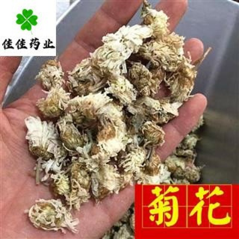 菊花药用菊花无硫菊花干菊花佳佳药业
