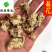 菊花药用菊花无硫菊花干菊花佳佳药业