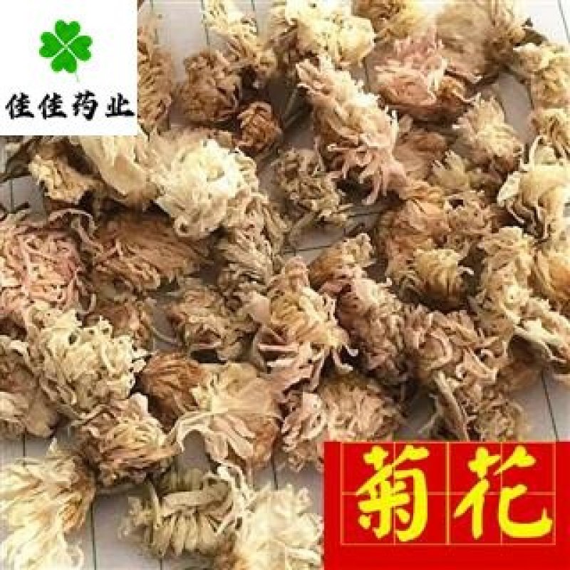 菊花药用菊花无硫菊花干菊花佳佳药业