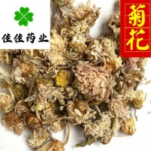 菊花药用菊花无硫菊花干菊花佳佳药业