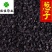 葱子葱籽药用供应各种中药材籽籽药