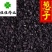 葱子葱籽药用供应各种中药材籽籽药