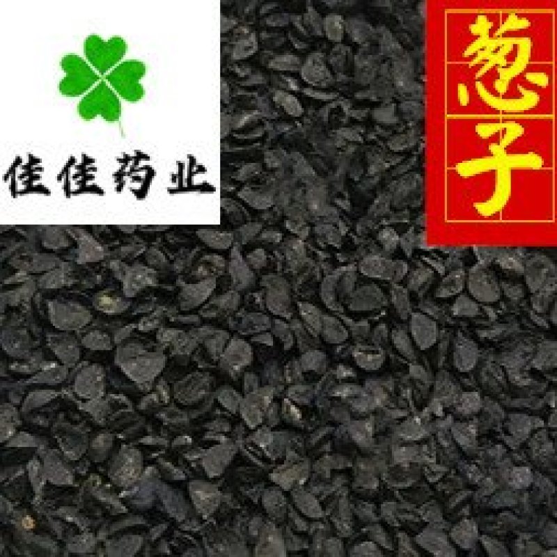 葱子葱籽药用供应各种中药材籽籽药