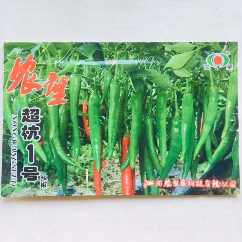极早熟超杭1号辣椒种子恒辣6号香辣杭椒种子淡绿色辣味浓