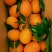 奉节脐橙纽荷尔好吃找我