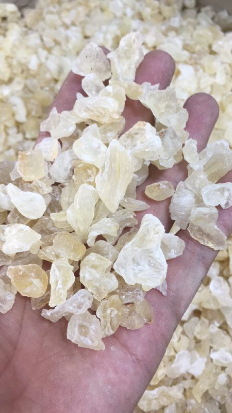 印度雪燕，冰糖雪燕，产地直销，量大优惠，诚招代理