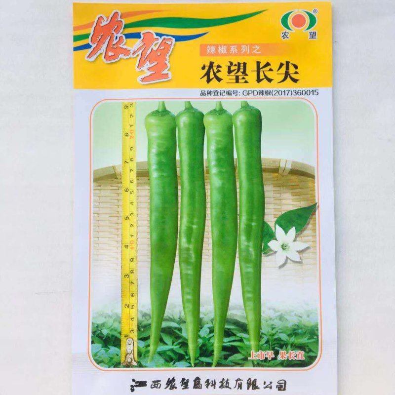 农望长尖杂交一代尖椒长羊角辣椒种子上市早果长直鲜食脆香