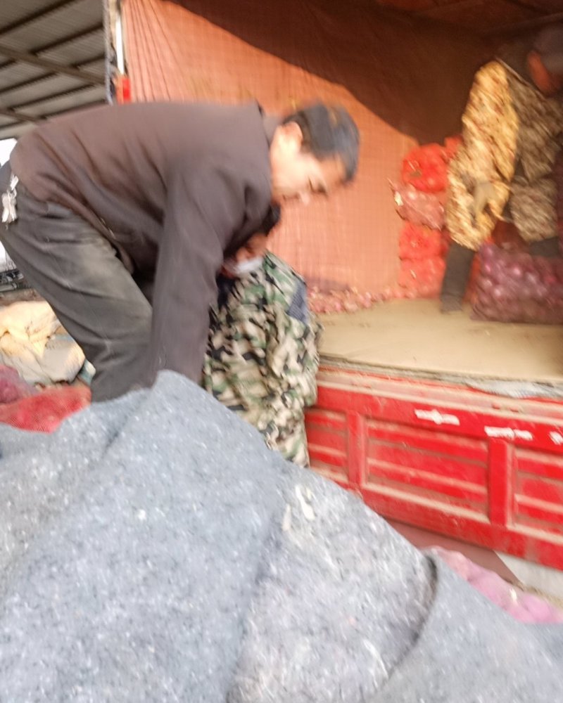 山东聊城。精品小洋大量有货。价格低，质量好。欢迎新老客。