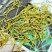 金银花,道地药材,质优价实,品质保证,药典标准,一公斤起