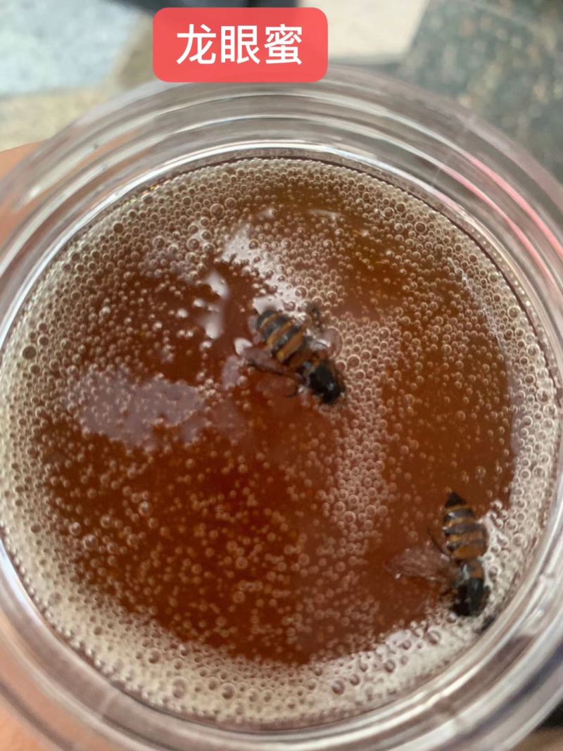 自家酿造的纯正蜂蜜~龙眼蜜