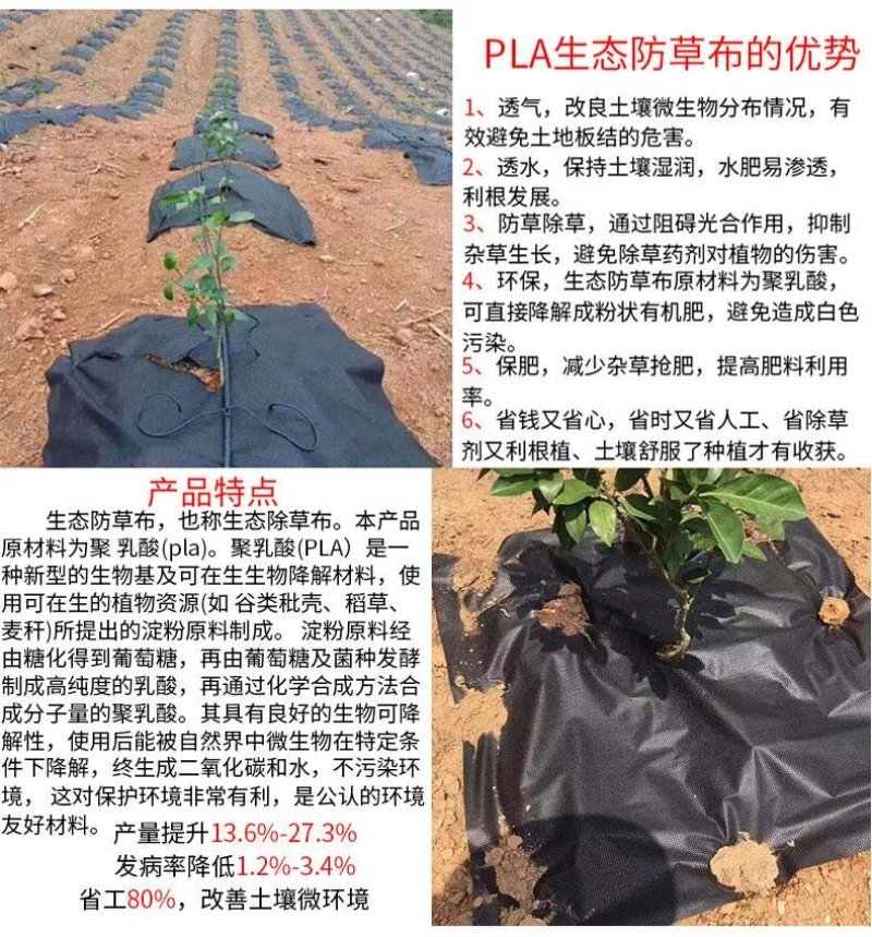 生态降解除草布防草布地布地垫绿色除草布透气保湿