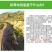 生态降解除草布防草布地布地垫绿色除草布透气保湿