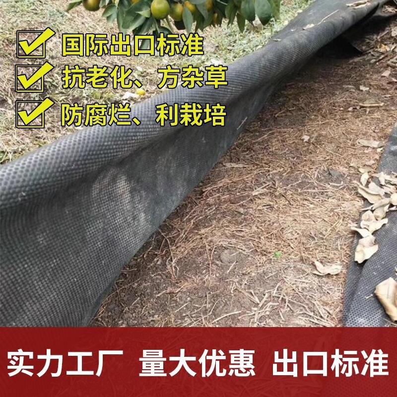 生态降解除草布防草布地布地垫绿色除草布透气保湿