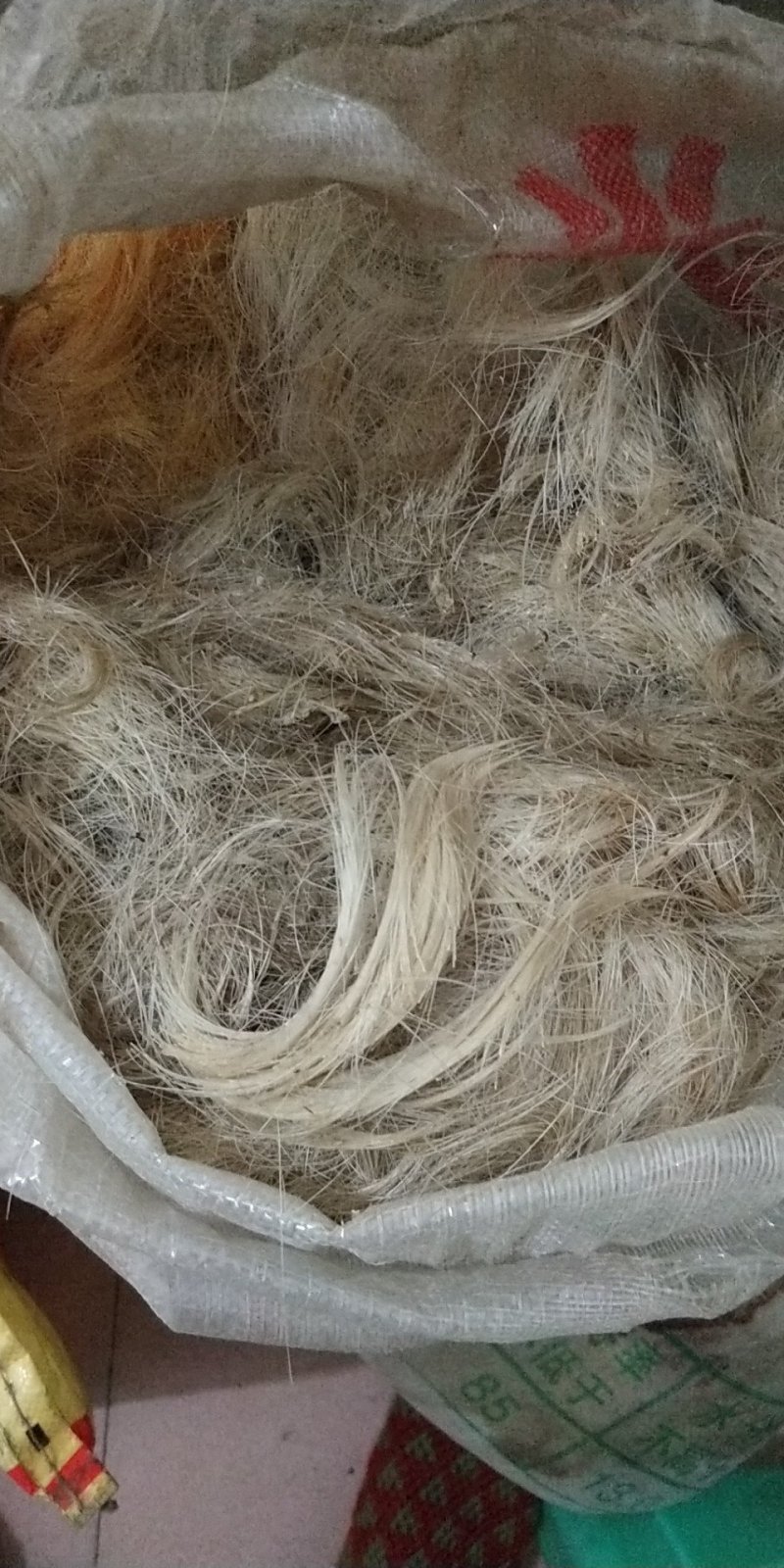 猪毛