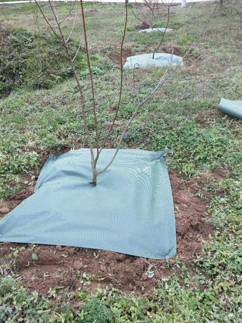 防草布降解除草布PLA透水性超强保湿透气地布地垫