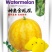 高端品质神奥金凤凰礼品西瓜种子早熟高糖金黄皮薄果肉鲜黄