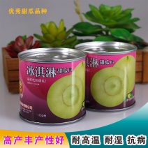甜宝香瓜梨瓜种子浓香型脆嫩原装铁罐10克高产甜瓜种子露地