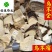 鸟不企鸟不宿鸟不落新货大统货无杂质