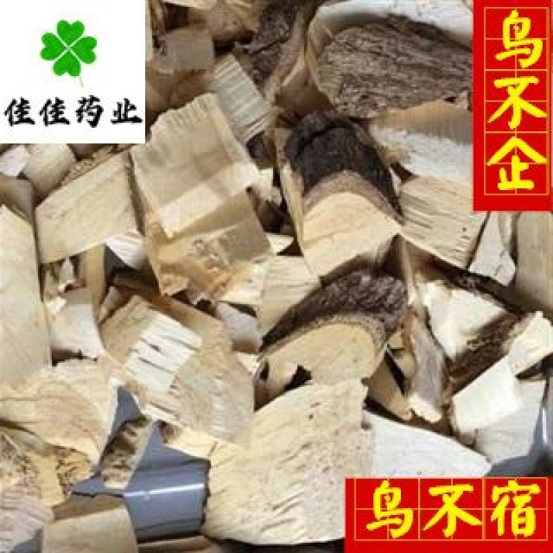 鸟不企鸟不宿鸟不落新货大统货无杂质