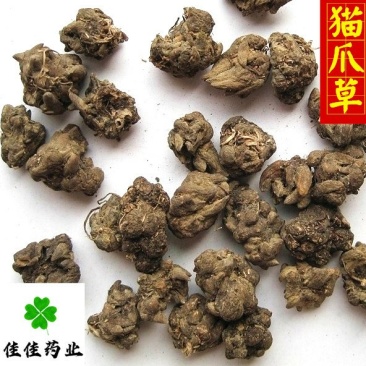 猫爪草中选货水洗干净无杂质货干实物图