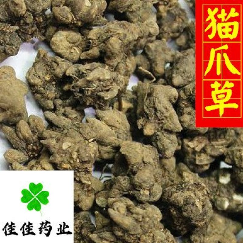 猫爪草中选货水洗干净无杂质货干实物图