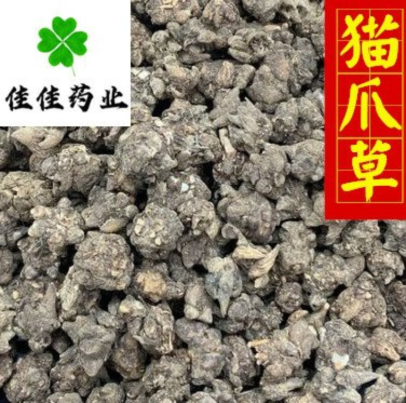 猫爪草中选货水洗干净无杂质货干实物图