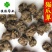 猫爪草中选货水洗干净无杂质货干实物图