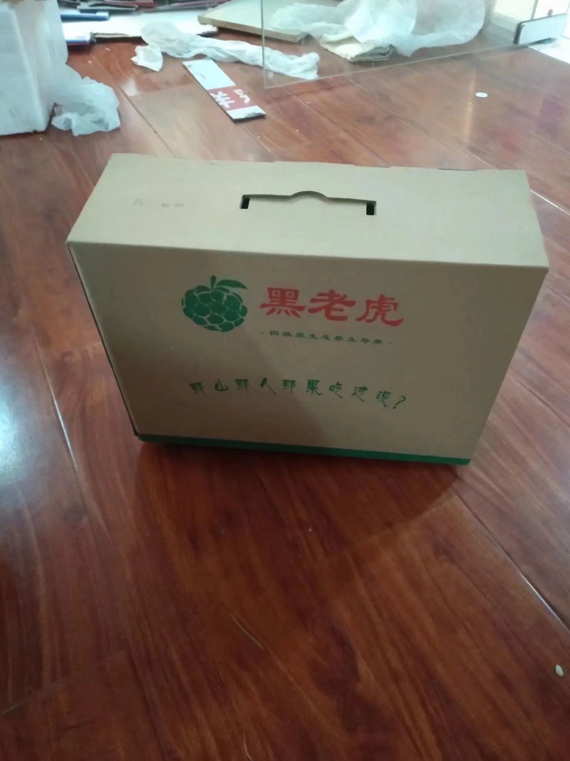 黑老虎苗