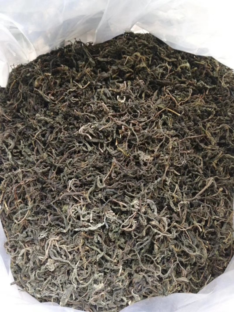 襄阳干香椿嫩芽2022年头茌香椿芽包邮野菜