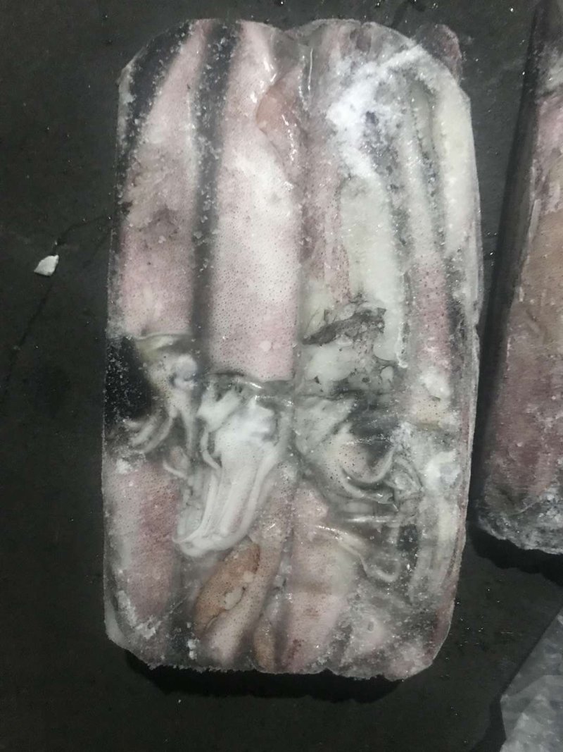 伊朗陆冻鱿鱼