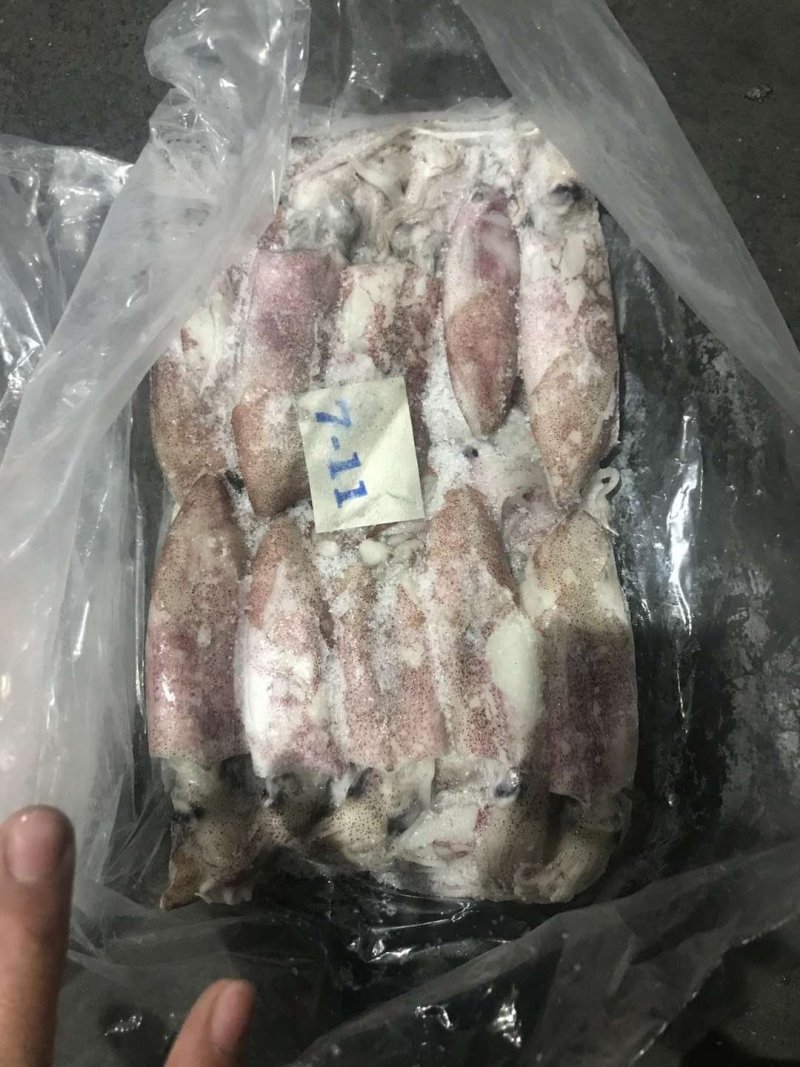 伊朗陆冻鱿鱼