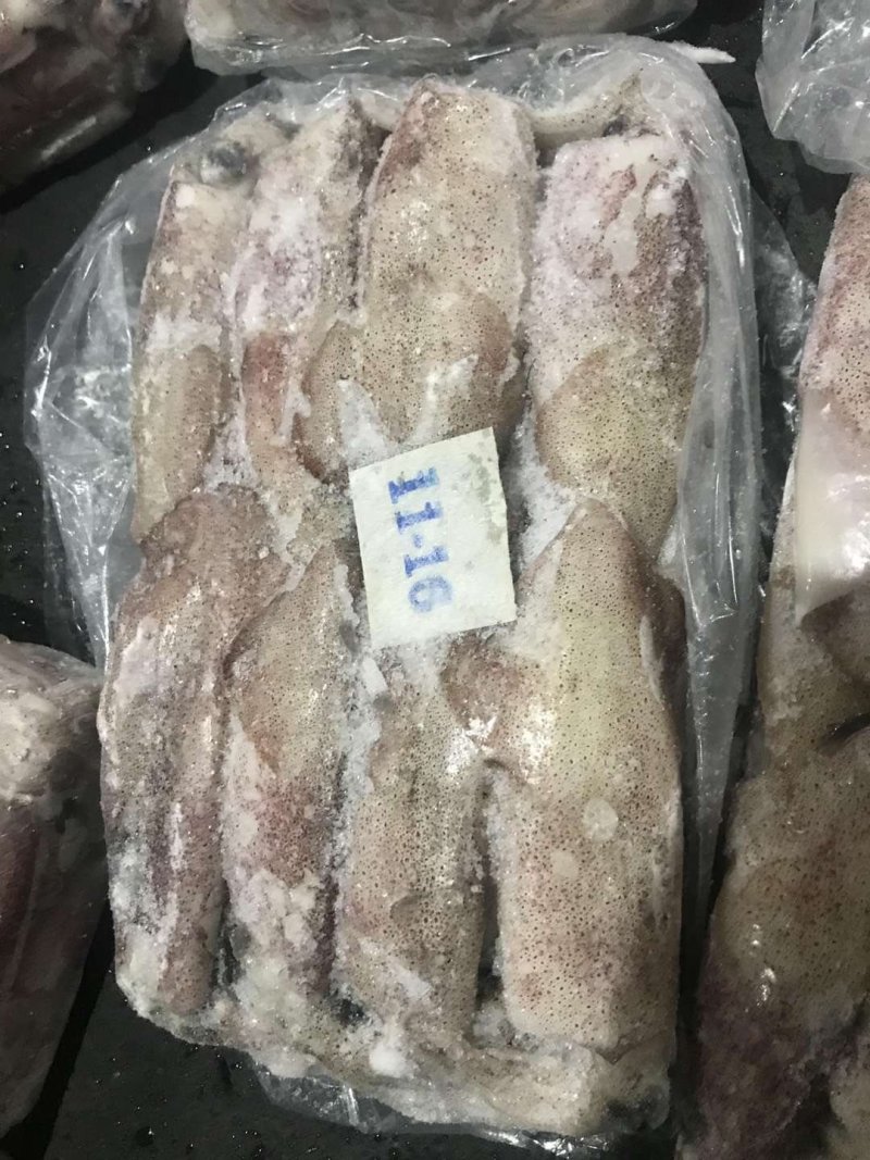 伊朗陆冻鱿鱼
