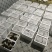 2021年青藏高原羊肚菌鲜品