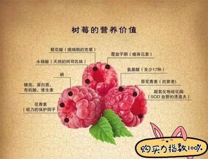 树莓