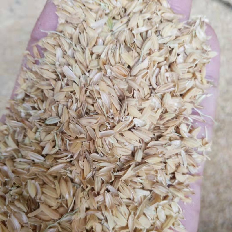 稻壳粉统糠筛糠100目鸡鸭鹅牛羊养殖饲料原料