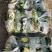 万亩菠菜26-30公分，实力代收请放心选择量大从优